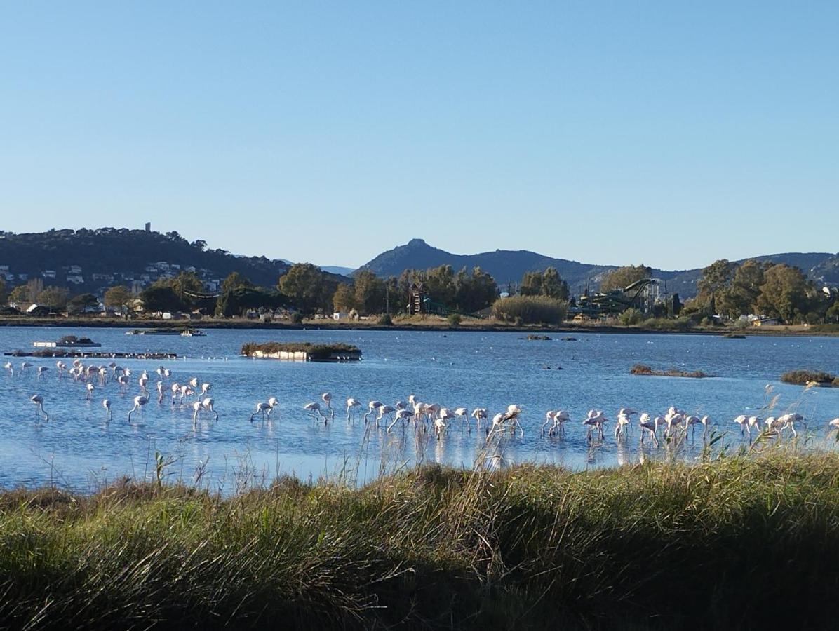 Le Surplage Hyeres Bagian luar foto