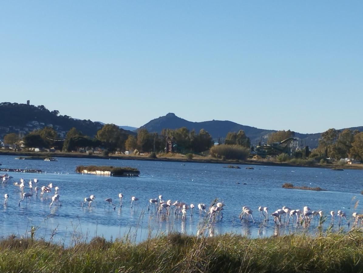 Le Surplage Hyeres Bagian luar foto