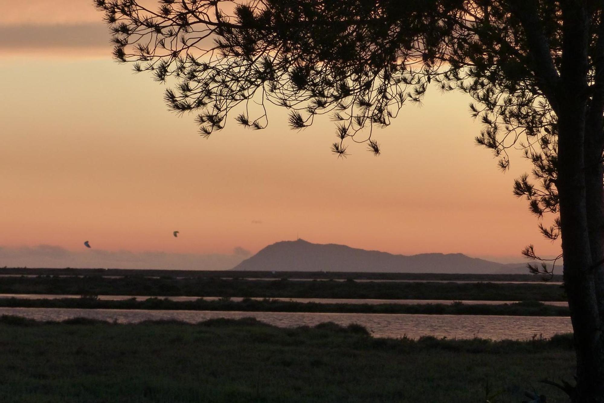 Le Surplage Hyeres Bagian luar foto