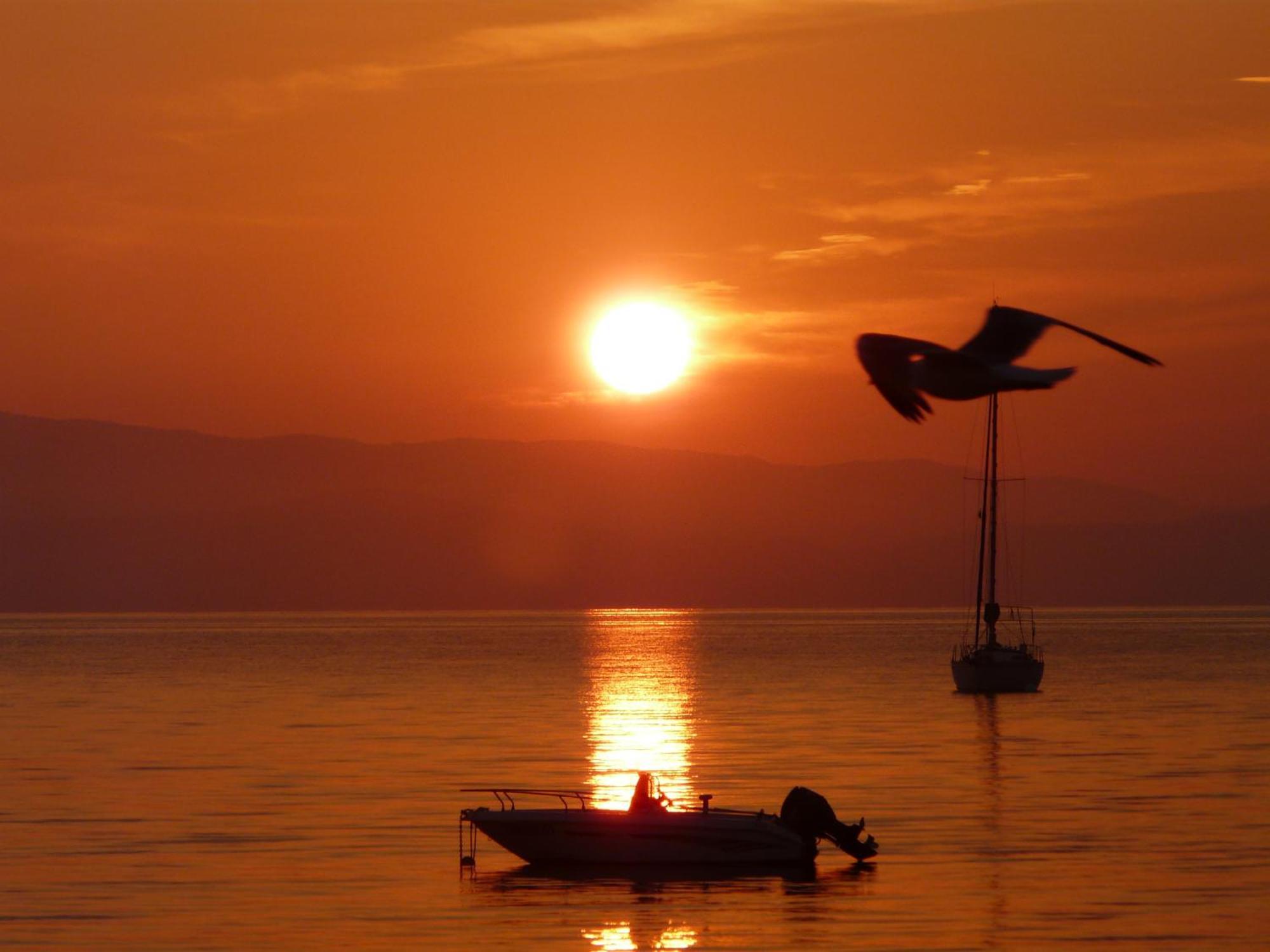 Le Surplage Hyeres Bagian luar foto