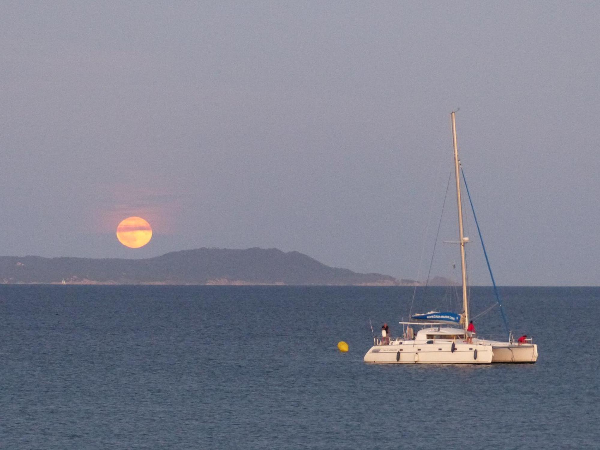 Le Surplage Hyeres Bagian luar foto